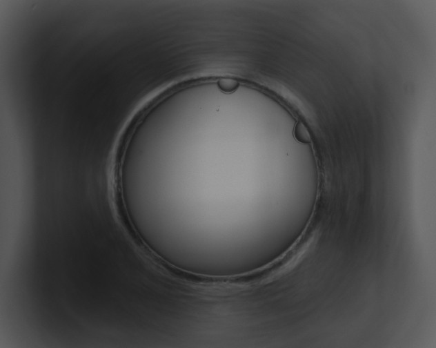 X0000100971077200806241159