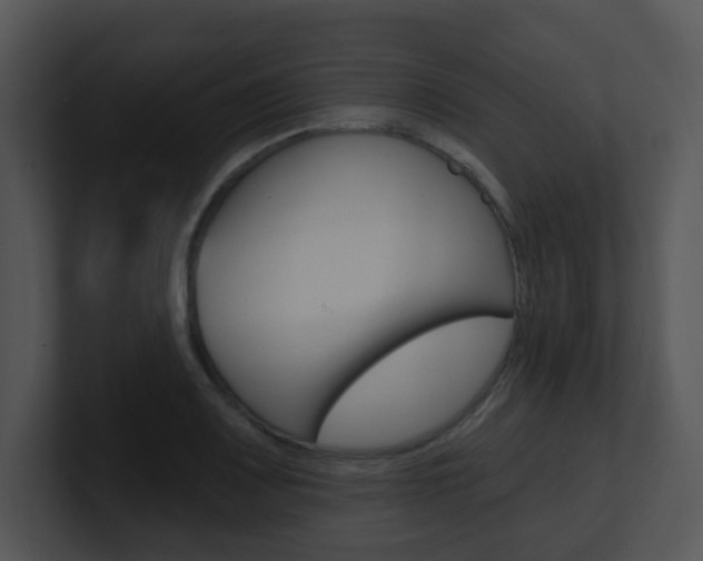 X0000100971083200806241159