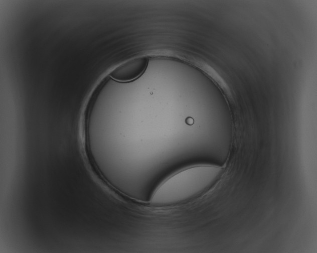 X0000100971084200806241159
