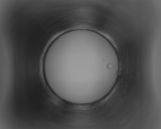 X0000100971086200806241159