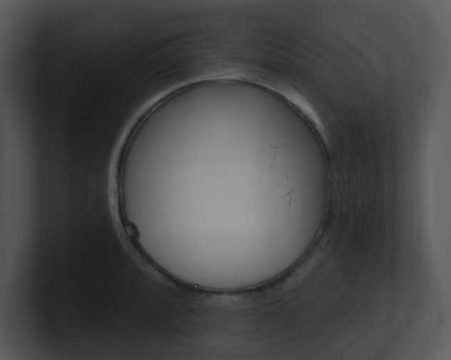 X0000100971088200806241159