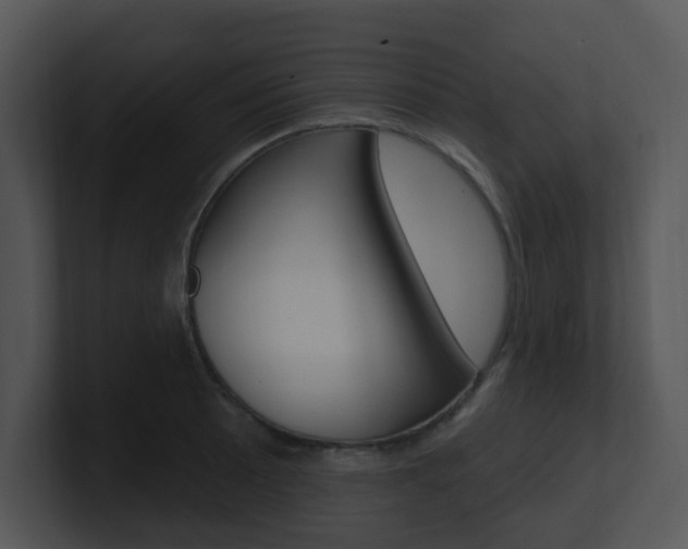 X0000100971089200806241159