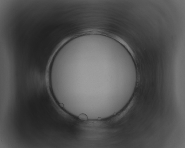 X0000100971090200806241159