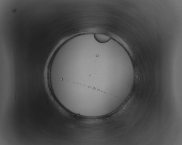 X0000100971091200806241159
