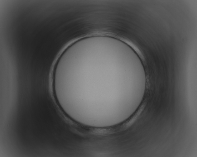 X0000100971094200806241159