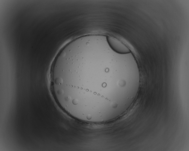 X0000100971095200806241159