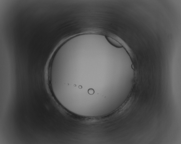 X0000100971099200806241159