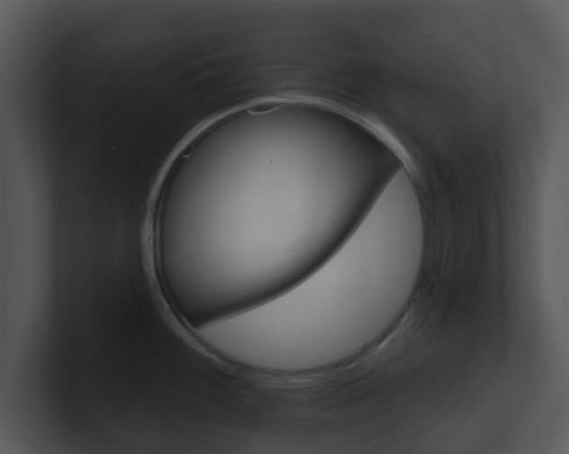 X0000100971100200806241159