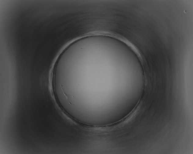 X0000100971102200806241159