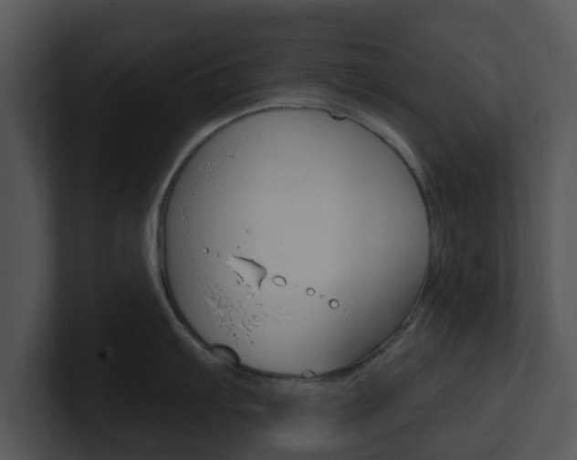 X0000100971103200806241159