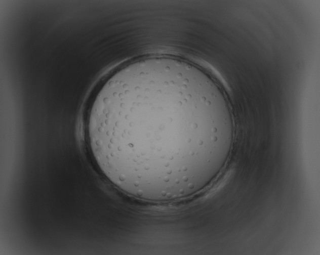 X0000100971125200806241158