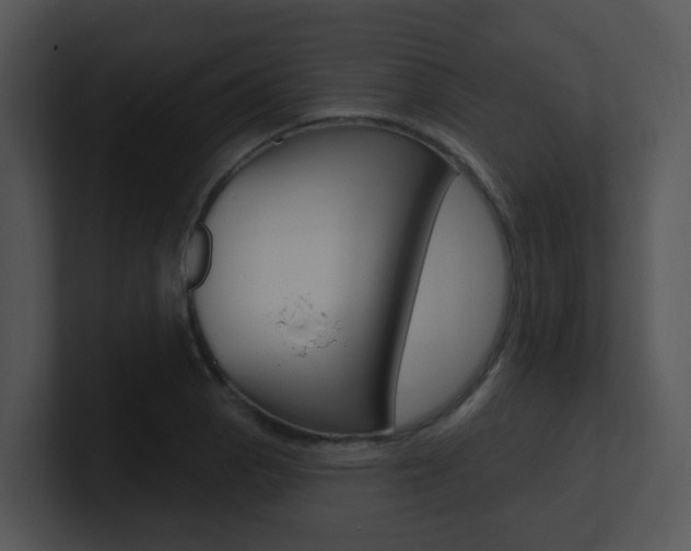 X0000100971129200806241158