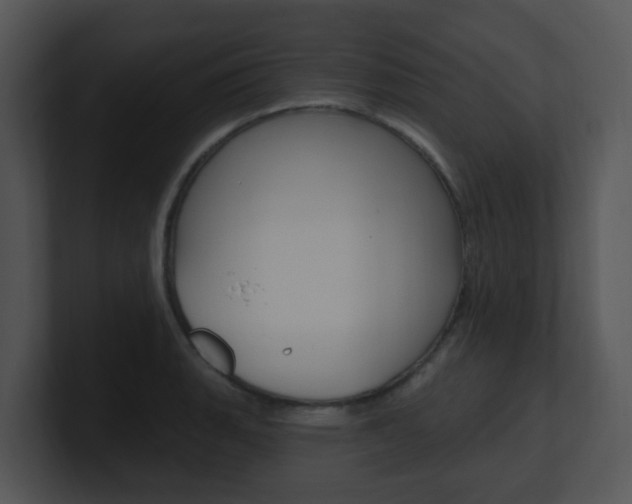 X0000100971135200806241158