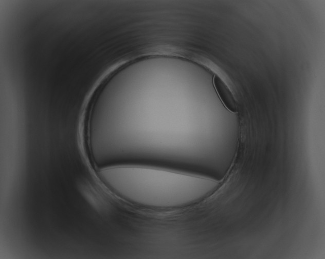 X0000100971139200806241158