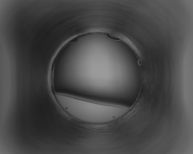 X0000100971140200806241158
