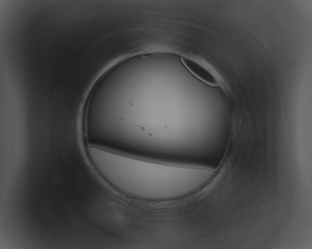 X0000100971142200806241158