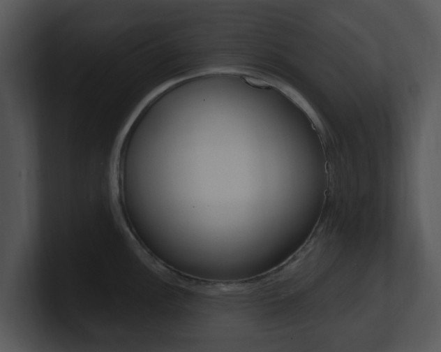 X0000100971148200806241159