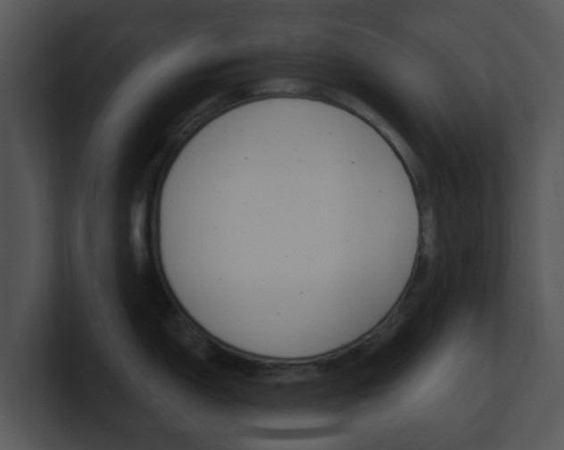 X0000100971150200806241159