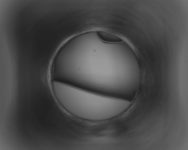 X0000100971151200806241159