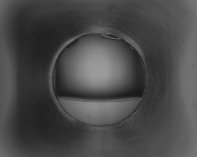 X0000100971152200806241159
