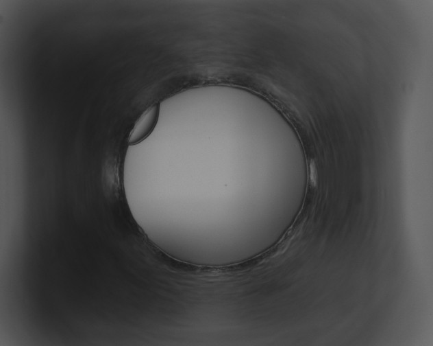 X0000100971155200806241158