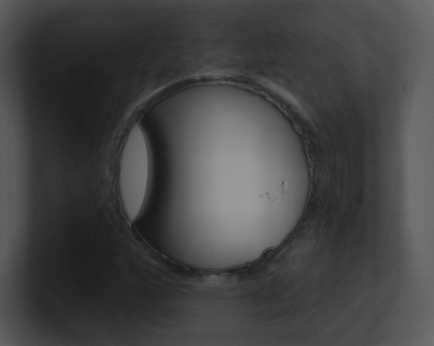 X0000100971160200806241158