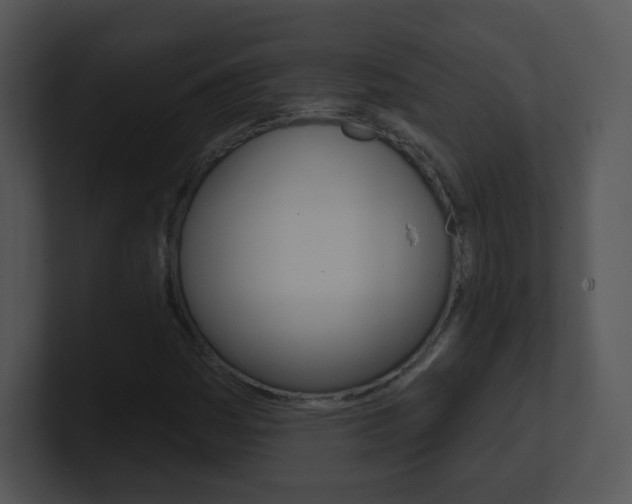 X0000100971161200806241158