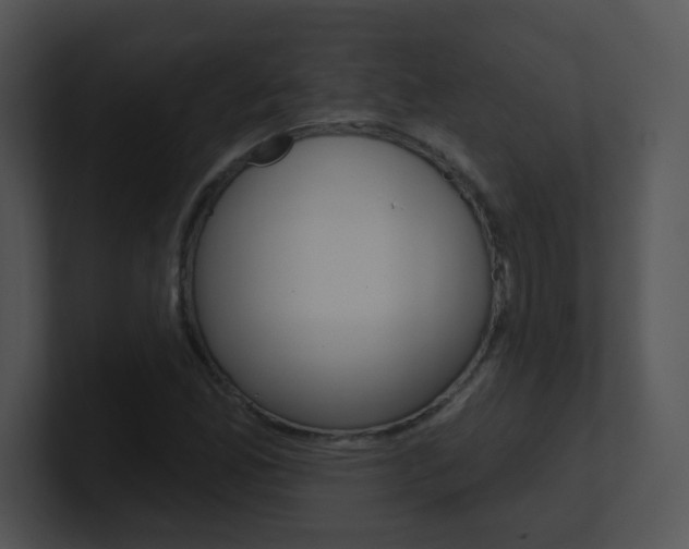 X0000100971165200806241158
