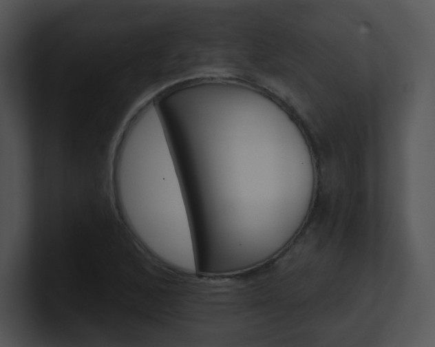 X0000100971168200806241158