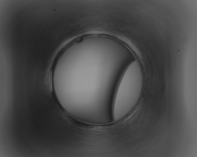 X0000100971175200806241157