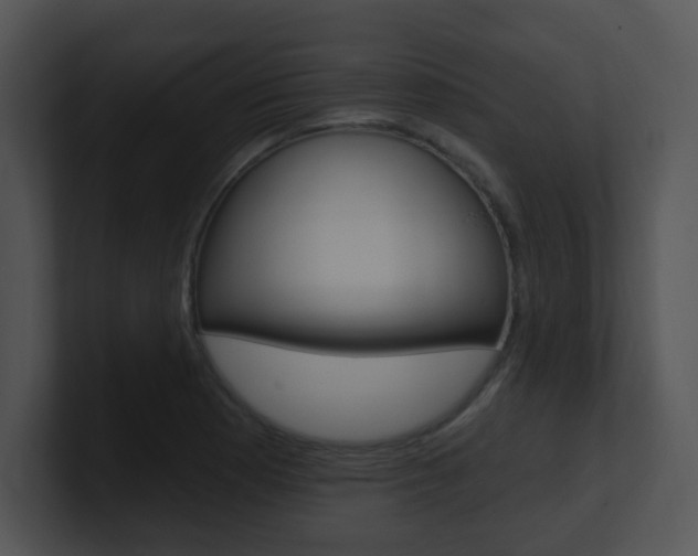 X0000100971177200806241157