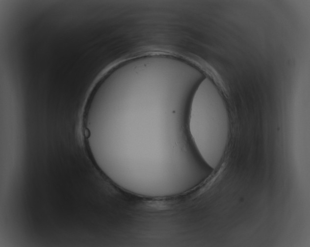 X0000100971182200806241157