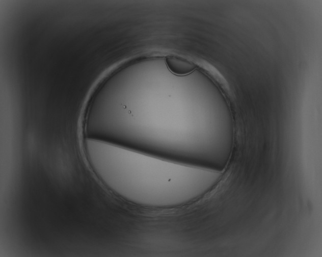 X0000100971183200806241157