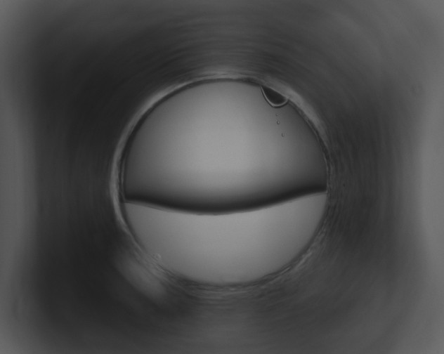 X0000100971187200806241157