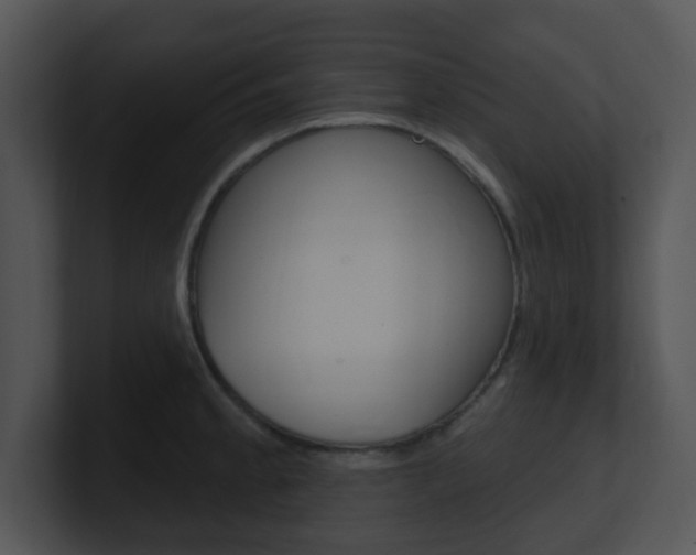 X0000100971189200806241157