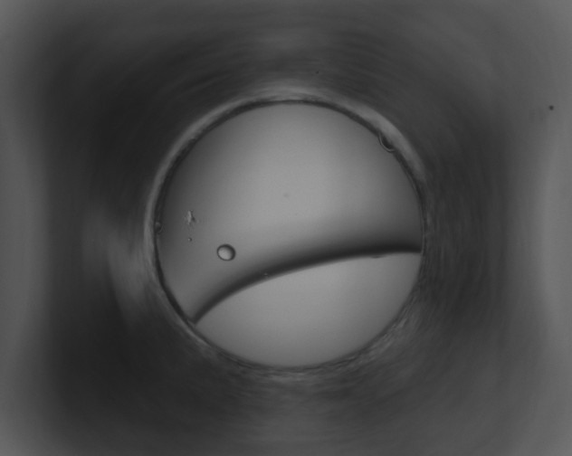 X0000100971191200806241157