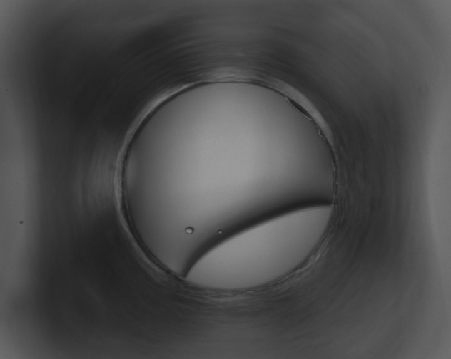X0000100971195200806241157