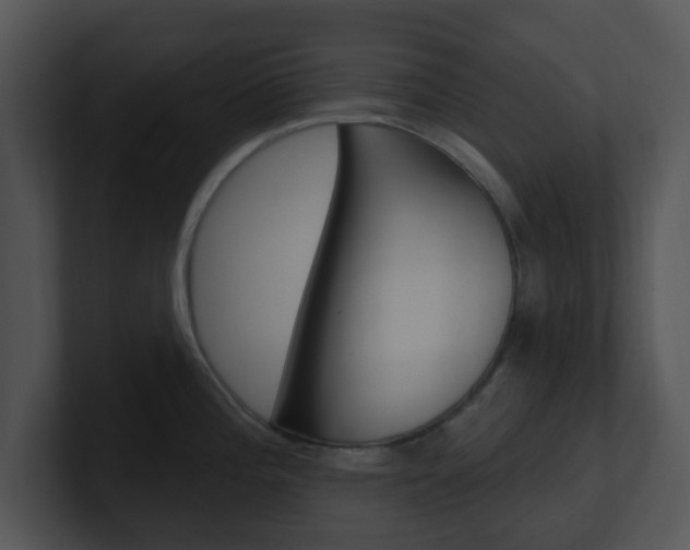 X0000100971196200806241157
