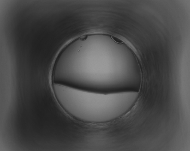 X0000100971197200806241157