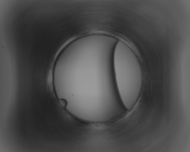X0000100971198200806241157