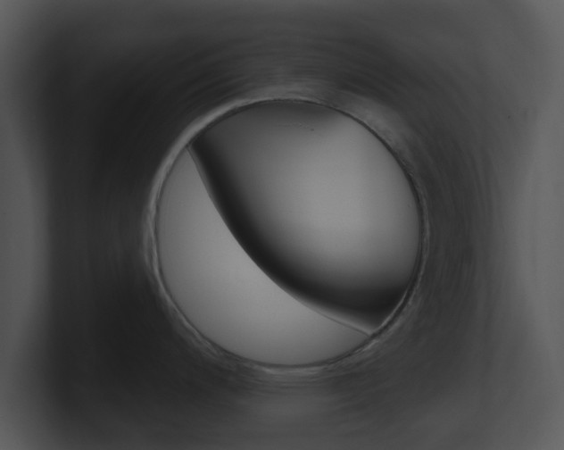 X0000100971200200806241157