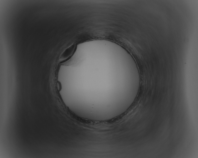 X0000100971201200806241157