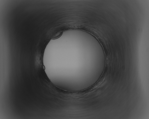 X0000100971202200806241157