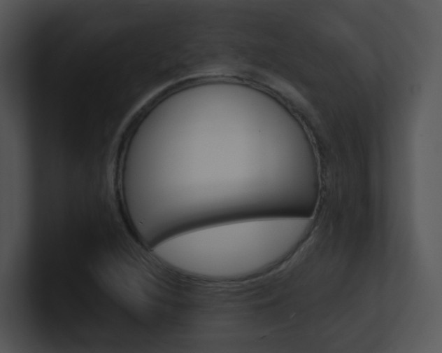 X0000100971216200806241157