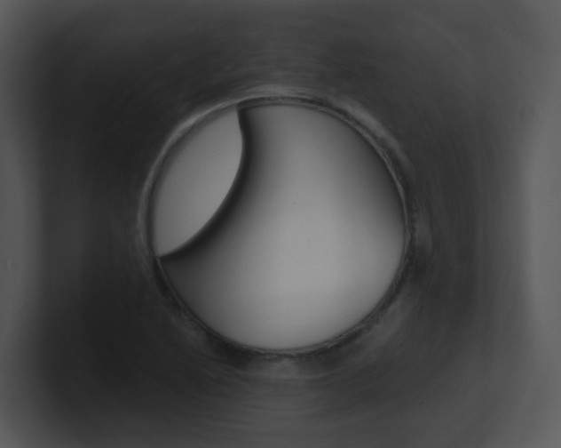 X0000100971222200806241157