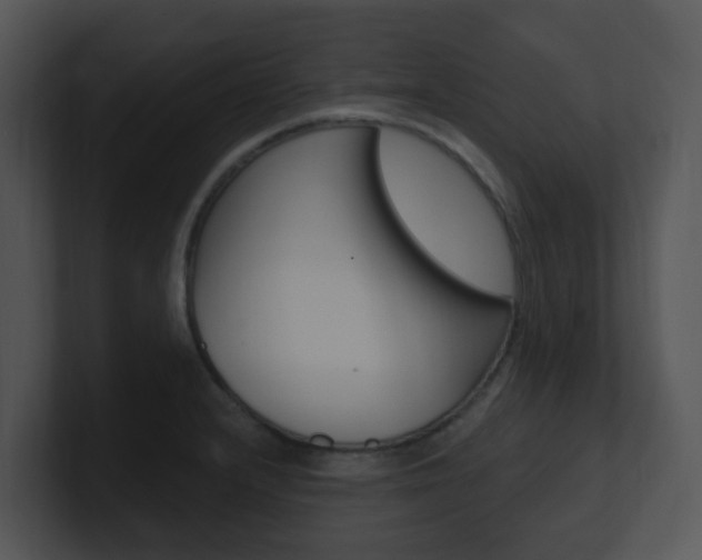 X0000100971232200806241157