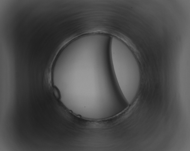 X0000100971234200806241157