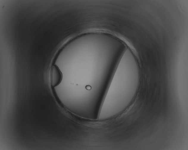 X0000100971237200806241157