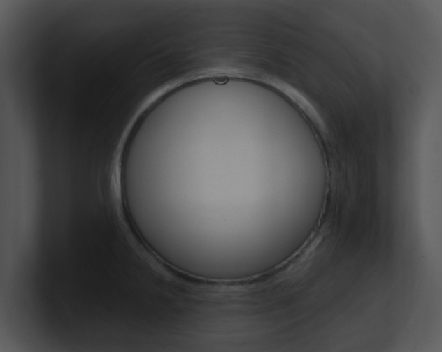 X0000100971238200806241157
