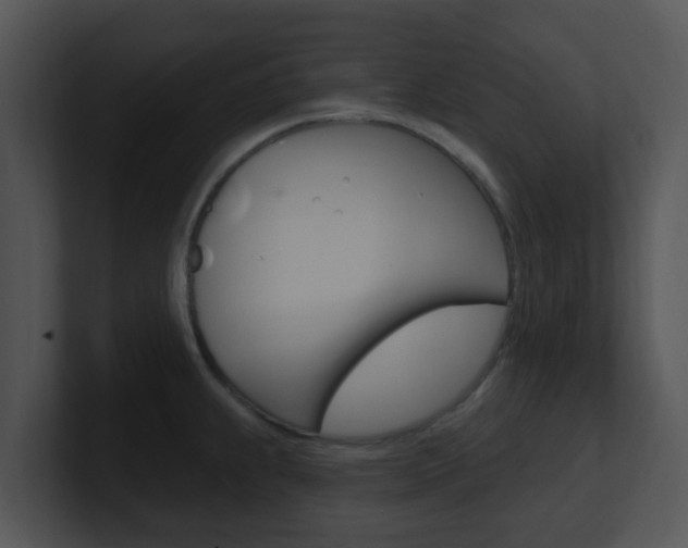 X0000100971239200806241157